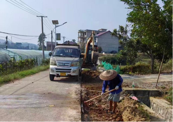 板桥乡金桥村：宜居宜业和美乡村建设正当时